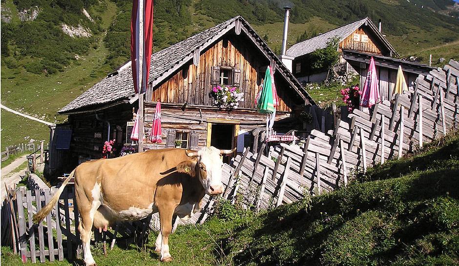 Apartment Haus Van Der Leij Russbach am Pass Gschütt Esterno foto
